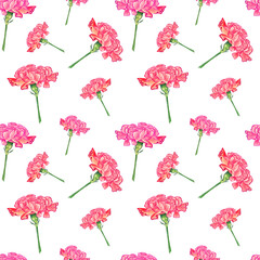 Carnation flowers on white background, watercolor hand-drawn illustration, seamless pattern