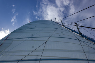 Sailing yacht catamaran sailing in the sea. Sailing in whitsundays island, queensland, australia