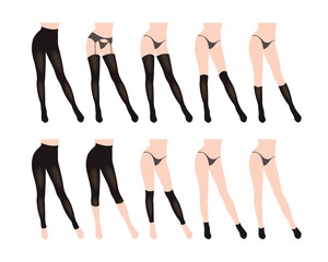 Hosiery elements - tights, stockings, golfs, leg warmers, socks, lingerie. vector illustration isolated