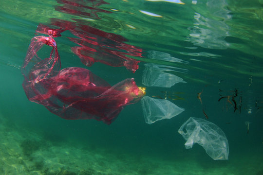Plastic bags, bottles, straws and cups pollution of ocean 