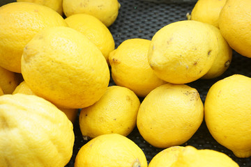 fresh yellow lemons. lots of lemons. background of lemons