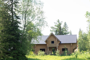 Old unfinished house from logs in the forest.
