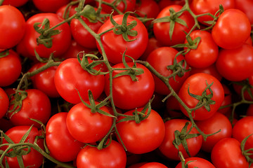 Stuffed tomatoes are red and juicy