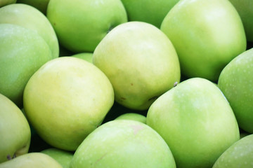 close up of regular shaped healthy and tasty green apples