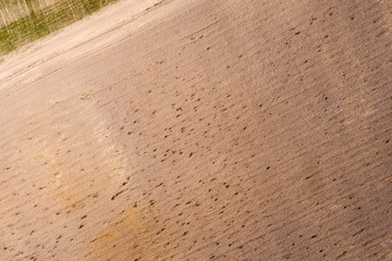 farm field, view from above