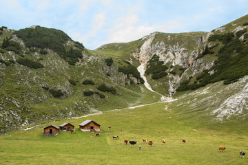 Alto Adige, Val Pusteria, Tirolo