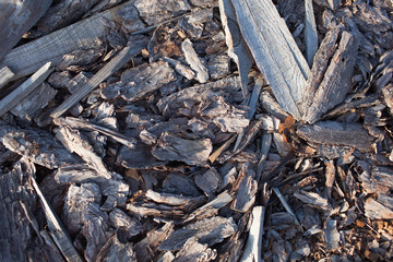 Abstract background with felled wood