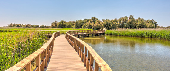 Tablas de Daimiel National Park, Spain