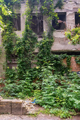 Fototapeta na wymiar Novi Sad, Serbia June 02, 2019: Abandoned building in the center of Novi Sad in Radnicka Street