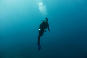 Scuba divers swimming under water