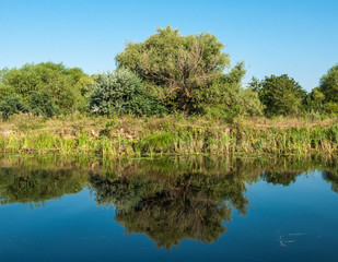 The Danube Delta