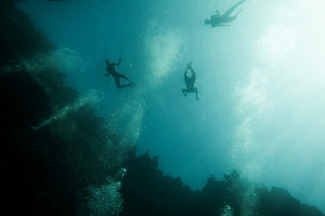 Underwater view of snorkelers in a water