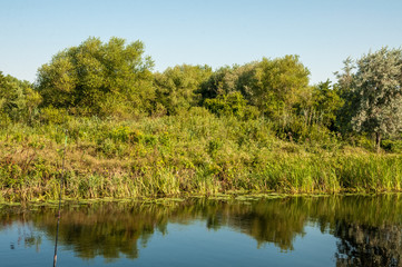 Fototapeta na wymiar The Danube Delta