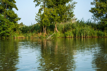 The Danube Delta