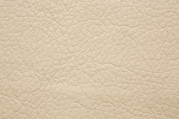 Relief leatherette texture in light beige tone.