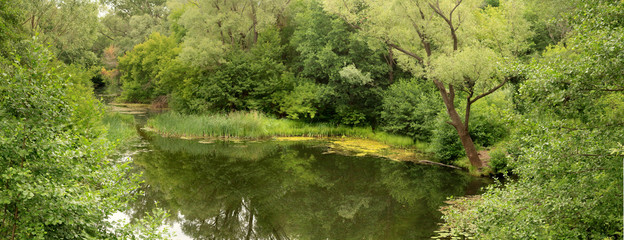 panorama of the river in the forest