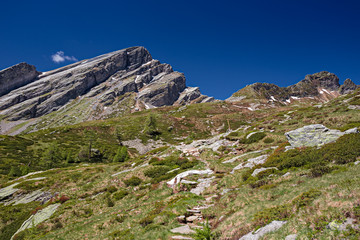 Panoramic view of the Pioda di Crana rock plaques, among high altitude conifer woods.