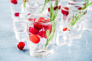 Winter cocktail with cranberry and rosemary