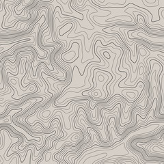 Topographic map lines background. Abstract vector illustration. Contour vector map.