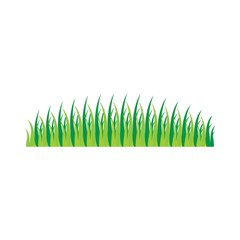 Grass vector illustration
