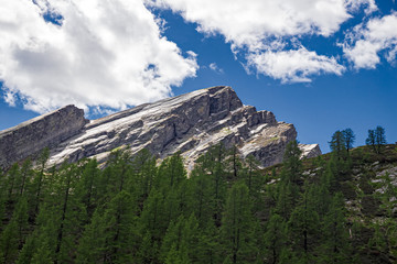 Fototapeta na wymiar Panoramic view of the Pioda di Crana rock plaques, among high altitude conifer woods.