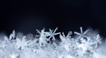 natural snowflakes on snow. the picture is made at a temperature of-10 C 