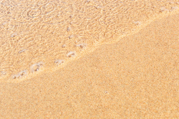 Fototapeta na wymiar Wave of the sea on the sandy beach.