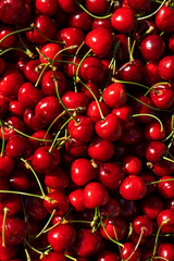freshly collected cherries