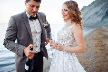 Happy newlywed couple. Beautiful bride and groom in a suit with champagne on a background of mountains.