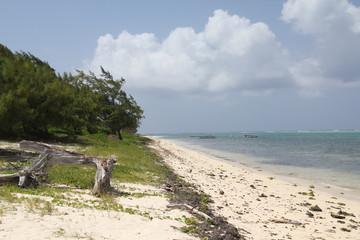 tropical island grand cayman beach summer