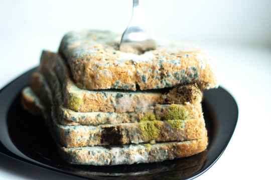 Mold grows quickly on moldy bread on a white background. Scientists turn a mushroom found on bread into an antiviral chemical. Moldy Refined Yeast Bread. Never eat the moldy bread.