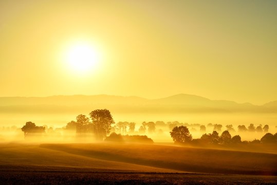 Reuss valley, sunrise in fog, autumn, Aristau, Canton of Aargau, Switzerland, Europe
