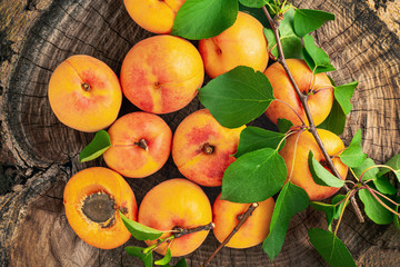 Ripe apricots with branches and leaves on a tree stump