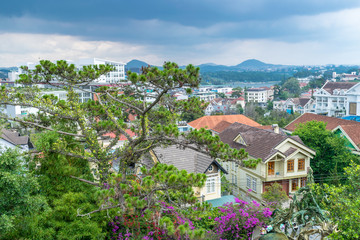 Obraz premium Panoramic view of green tree with flowers and roof of houses with sky before rain