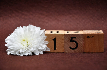 15 July on wooden blocks with a white aster on a brown background
