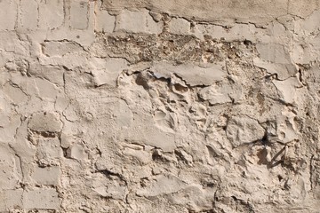 Texture 2