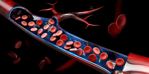 3d Illustration of red blood cells in vein