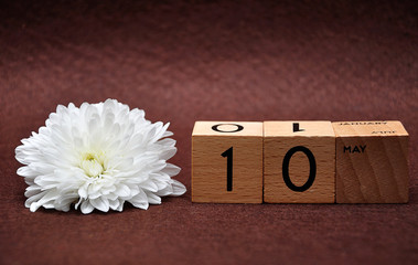 10 May on wooden blocks with a white aster on a brown background