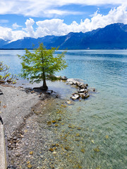 Vista, montreux, lago, genebra, suíça
