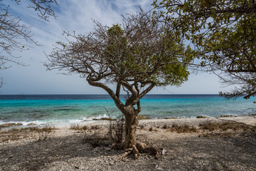 Fototapeta na wymiar San Juan Beaches Views around the small Caribbean Island of Curacao
