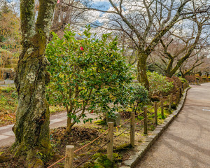 Philosopher Path, Kyoto, Japan