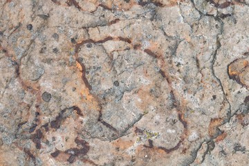 Texture 8