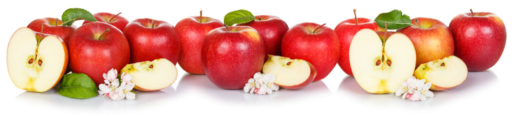 Red apple fruits apples fruit collage isolated on white in a row