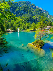 Fototapeta na wymiar Vista do Lago Blausee na Suiça