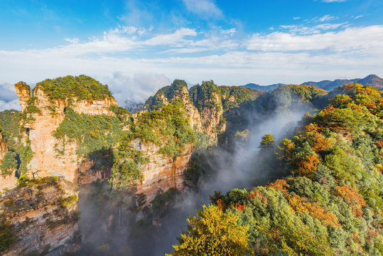 Colorful cliffs in Zhangjiajie Forest Park at sunny foggy morning time.
