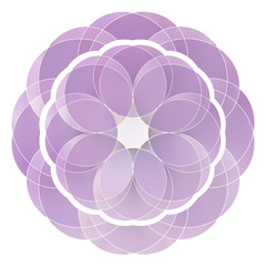 背景　フレーム　華やか