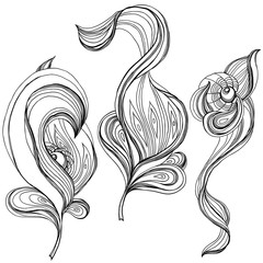 Vector outline flowers