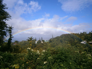 Rainbow over Tantalus Mountain Forest on the island of Oahu