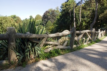 Le parc des Buttes-Chaumont (Paris France)