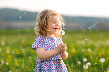 Adorable cute little baby girl blowing on a dandelion flower on the nature in the summer. Happy...